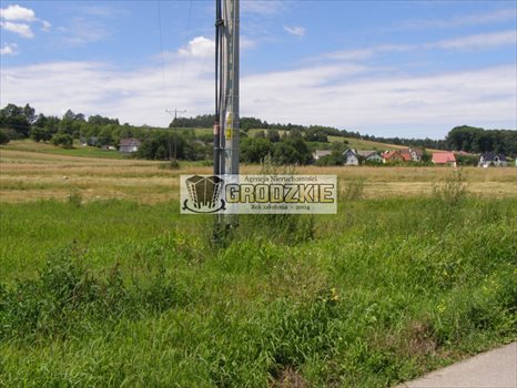 Działka budowlana na sprzedaż Tarnawce 5 000m2 Foto 7