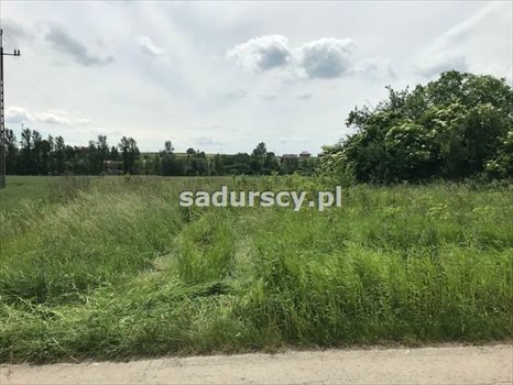 Działka inna na sprzedaż Januszowice 7 200m2 Foto 3