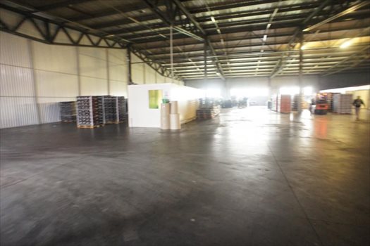 Lokal użytkowy na wynajem Poznań, Nowe Miasto, Szczepankowo, Pokrzywno 2 000m2 Foto 1