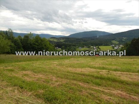 Działka budowlana na sprzedaż Dobra 3 100m2 Foto 1