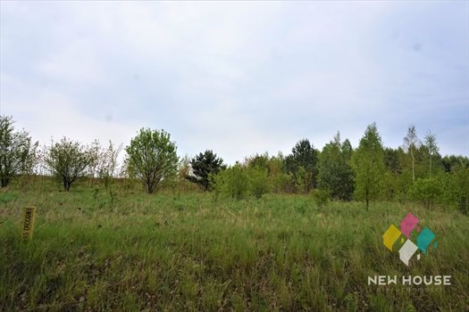 Działka rolna na sprzedaż Jemiołowo 8 377m2 Foto 3