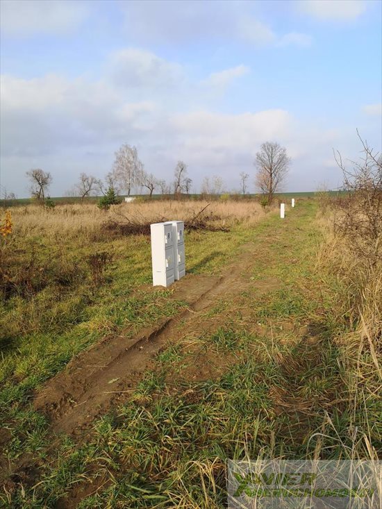 Działka budowlana na sprzedaż Bledzew 1 000m2 Foto 2