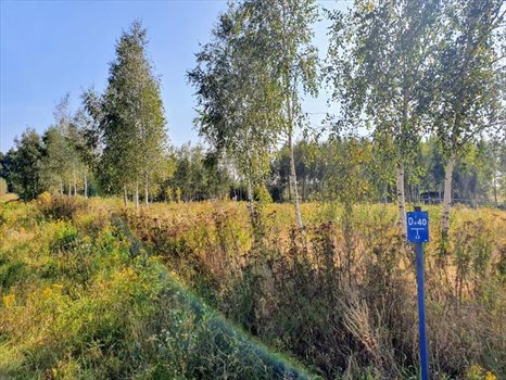 Działka budowlana na sprzedaż Bielkówko, Las 3 003m2 Foto 6