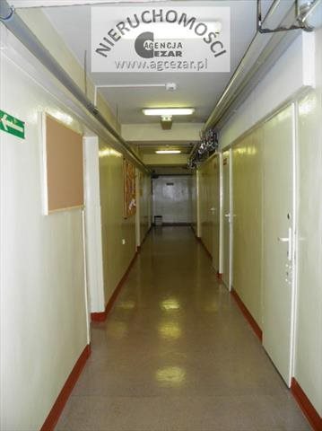 Lokal użytkowy na sprzedaż Mińsk Mazowiecki 2 122m2 Foto 6