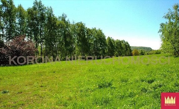 Działka komercyjna na sprzedaż Rybnik 11 783m2 Foto 7
