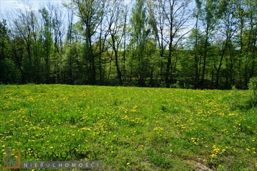 Działka inna na sprzedaż Balice 1 086m2 Foto 1