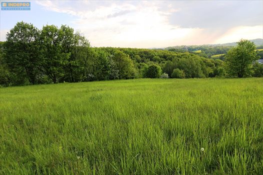 Działka budowlana na sprzedaż Mogilany 2 400m2 Foto 2