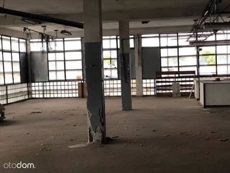 Lokal użytkowy na sprzedaż Kietrz, Okrzei 21 2 500m2 Foto 6