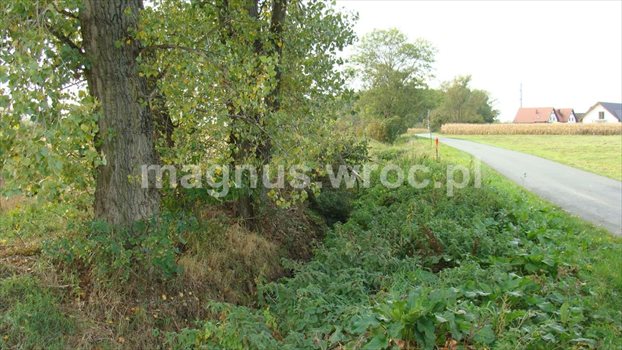 Działka budowlana na sprzedaż Domasław 1 170m2 Foto 5