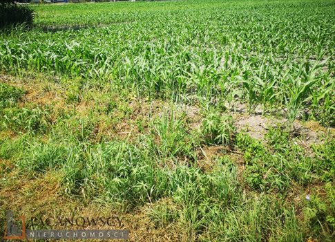 Działka budowlana na sprzedaż Zielonki 1 540m2 Foto 3