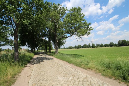 Działka budowlana na sprzedaż Gościnowo 1 688m2 Foto 1
