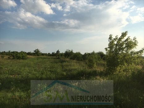Działka budowlana na sprzedaż Dosin, działka budowlana do zabudowy jednorodzinnej i usług nieucią 900m2 Foto 6