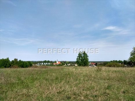 Działka budowlana na sprzedaż Poznań, Morasko 4 942m2 Foto 5
