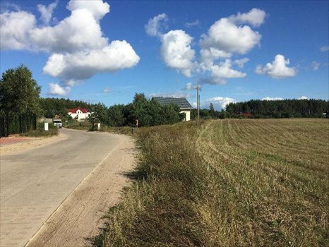 Działka budowlana na sprzedaż Bojano, Bojana 1 300m2 Foto 7