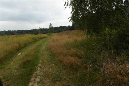 Działka inwestycyjna pod dzierżawę Warszawa, Wilanów, Wilanów, Pałacowa 5 600m2 Foto 5