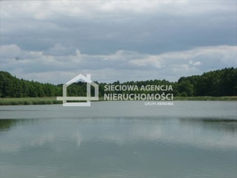 Działka rolna na sprzedaż Ciechocin 15 000m2 Foto 6