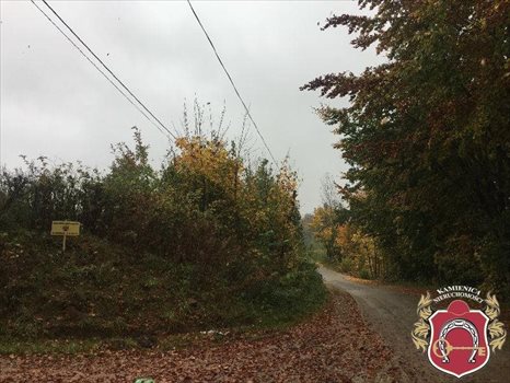 Działka budowlana na sprzedaż Łapino, Łapino Kartuskie, okolice Brzozowa 1 000m2 Foto 10
