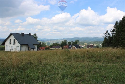 Działka budowlana na sprzedaż Rabka-Zdrój 690m2 Foto 3