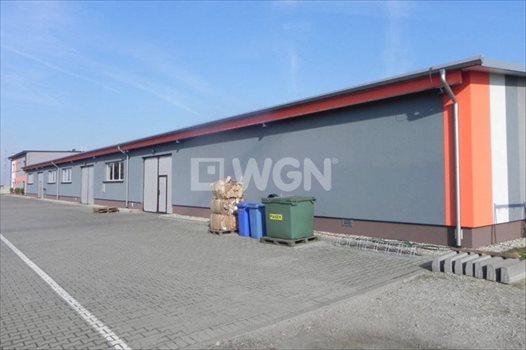 Lokal użytkowy na sprzedaż Ostrów Wielkopolski, Wysocko Wielkie, Wylotowa 1 234m2 Foto 5