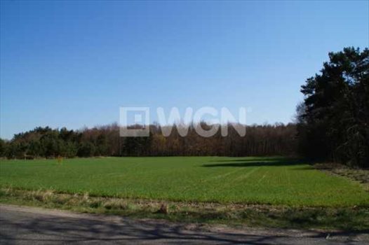 Działka budowlana na sprzedaż Machowino, Słupsk, Machowino 7 500m2 Foto 2