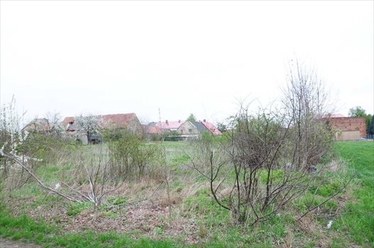 Działka budowlana na sprzedaż Rogów Sobócki 2 902m2 Foto 4
