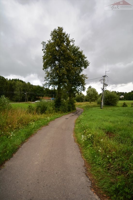 Działka budowlana na sprzedaż Przybówka 1 800m2 Foto 6