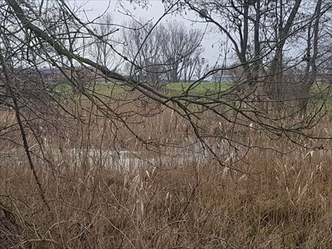 Działka budowlana na sprzedaż Otusz, Otusz 2 375m2 Foto 3