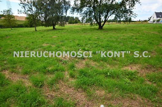 Działka budowlana na sprzedaż Giebułtów, Graniczna 2 000m2 Foto 6