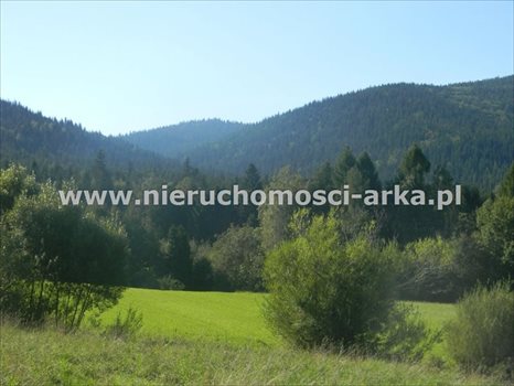 Działka budowlana na sprzedaż Dobra 1 700m2 Foto 5