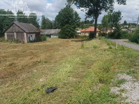 Działka budowlana na sprzedaż Zgłobień 3 800m2 Foto 2