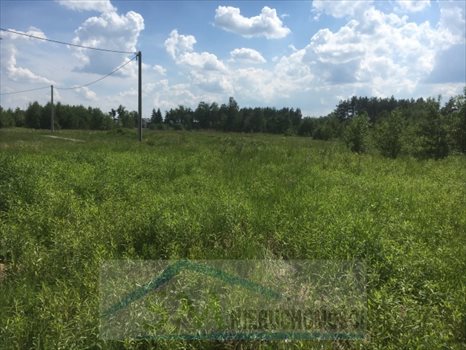 Działka przemysłowo-handlowa na sprzedaż Emilianów, wjazd z trasy S8 bezpośrednio z węzła Wola Rasztowska 30 129m2 Foto 4