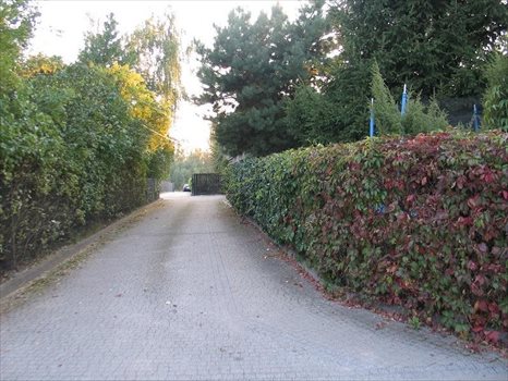 Działka budowlana na sprzedaż Warszawa, Wawer, Ogórkowa 3 173m2 Foto 3