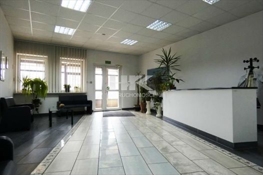 Lokal użytkowy na sprzedaż Zgorzelec 1 022m2 Foto 4
