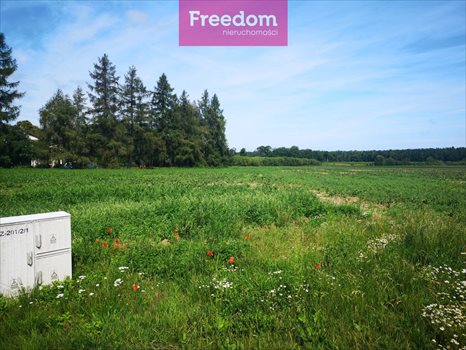 Działka budowlana na sprzedaż Osieki Lęborskie 3 752m2 Foto 4