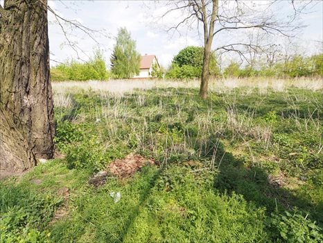 Działka inna na sprzedaż Chełm, Chełm 1 156m2 Foto 6