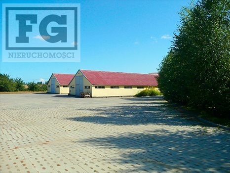 Działka przemysłowo-handlowa na sprzedaż Gdańsk, Juszkowo, Cisowa 9 586m2 Foto 5