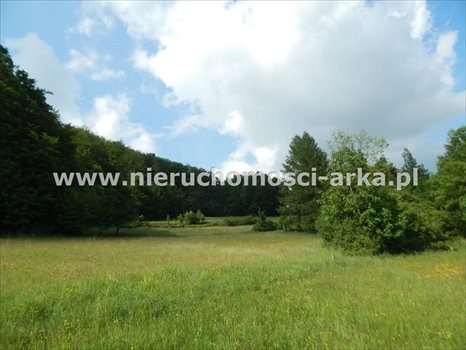 Działka budowlana na sprzedaż Mszana Dolna 1 800m2 Foto 3
