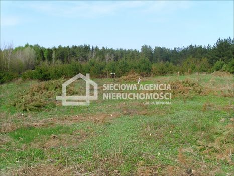 Działka budowlana na sprzedaż Sitno 1 412m2 Foto 7