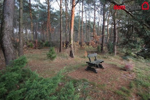 Dom na sprzedaż Rozgarty 356m2 Foto 2