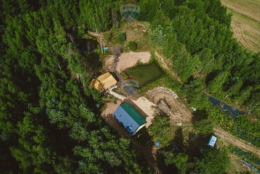 Działka siedliskowa na sprzedaż Strzegowa 14 599m2 Foto 10
