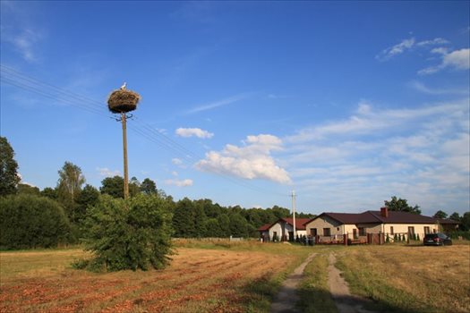 Działka rekreacyjna na sprzedaż Łąkie 1 500m2 Foto 2