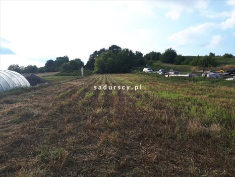 Działka budowlana na sprzedaż Dziekanowice, Długa 1 300m2 Foto 2
