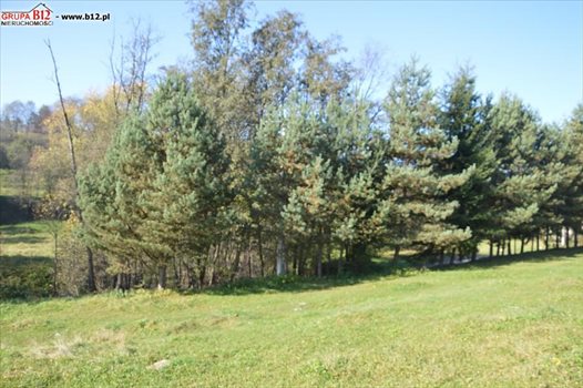Działka budowlana na sprzedaż Nowy Targ, Klikuszówka 749m2 Foto 5