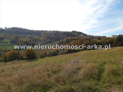 Działka inna na sprzedaż Limanowa 2 000m2 Foto 3