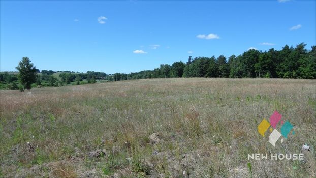 Działka rolna na sprzedaż Maruny 3 000m2 Foto 5