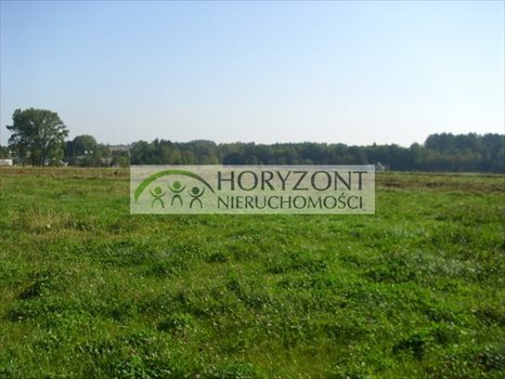 Działka budowlana na sprzedaż Małkowo 963m2 Foto 4