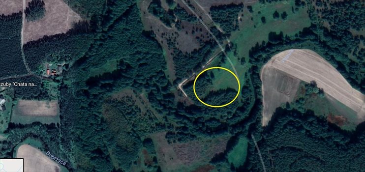 Działka budowlana na sprzedaż Zabrodzie 40 000m2 Foto 2