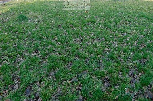 Działka budowlana na sprzedaż Mysłowice, Morgi 745m2 Foto 1