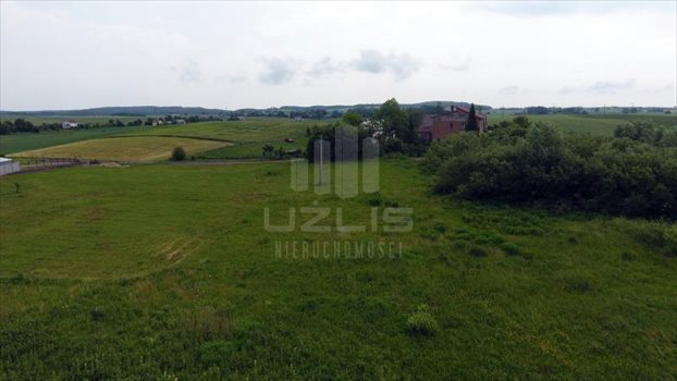 Działka inna na sprzedaż Gołębiewko 3 011m2 Foto 8