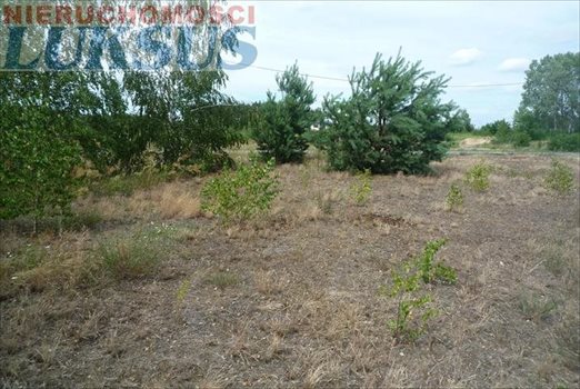 Działka budowlana na sprzedaż Prace Duże, Prace Duże 1 000m2 Foto 4